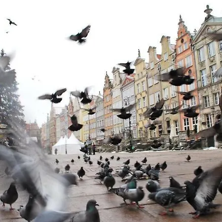 Sloneczne Poludnie * Gdańsk